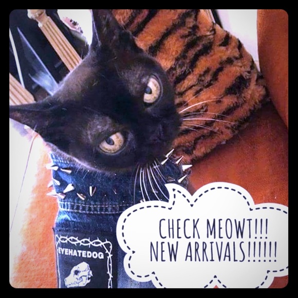 Newest Items Added to My Closet! - Picture 2 of 3